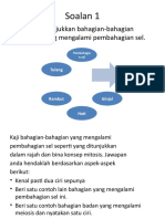 Contoh Soalan Bahagian C No. 11 & 12