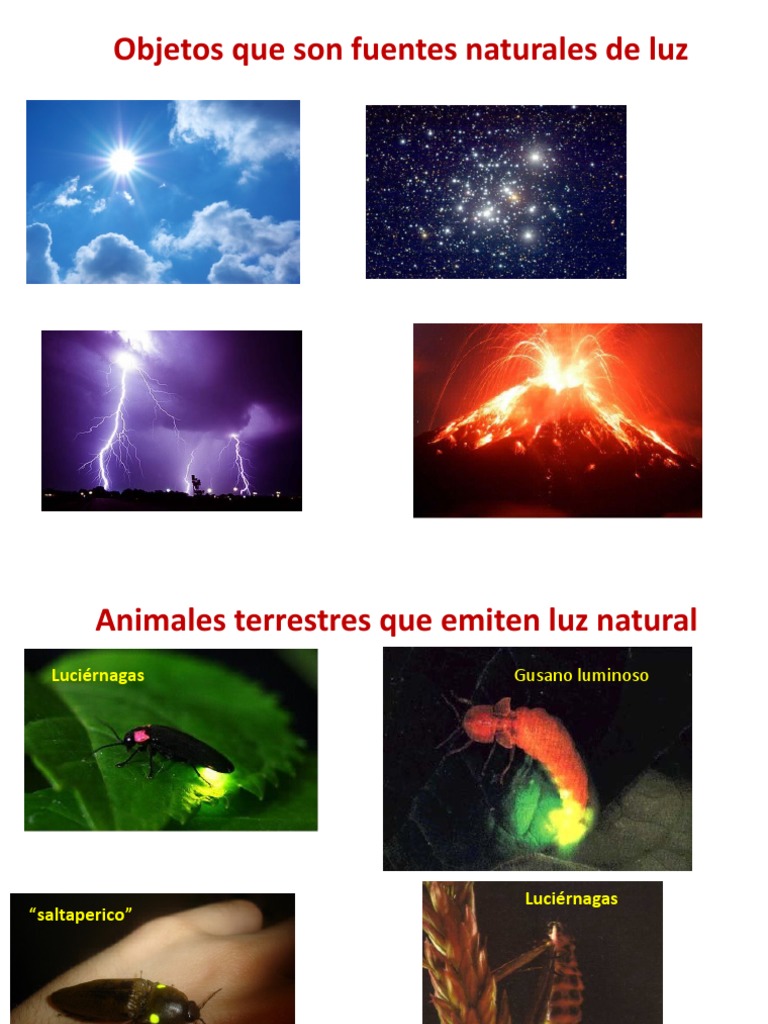 Fuentes Naturales de Luz: Ejemplos | PDF | Ciencia y matemáticas