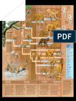 Infografía de Felinos Prehistóricos Nat Geo Inglés