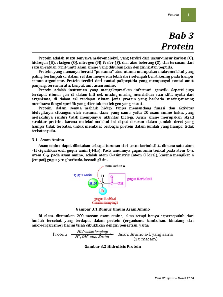 Struktur dan Fungsi Protein dalam Biologi | PDF