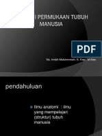 2 Anatomi Permukaan Tubuh Manusia PDF