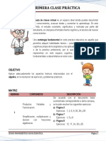 1) Primera Clase Práctica (Álgebra) PDF