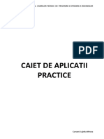 Caiet de Aplicatii Rev