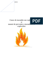 Cauzele Incendiilor