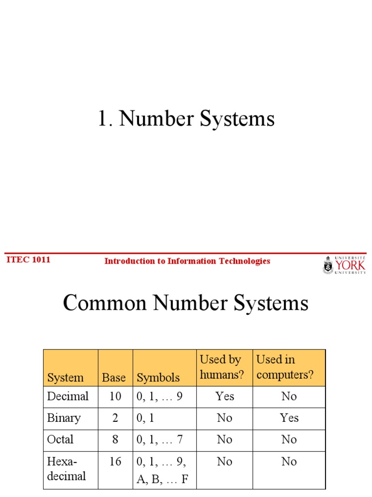 data representation and number system pdf