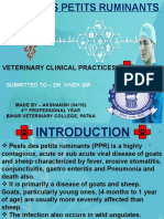 Veterinary Clinical Practices: Submitted To - Dr. Vivek Sir