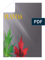Plantas (I)