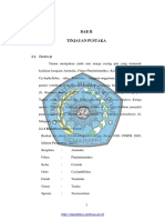 Bab Ii PDF