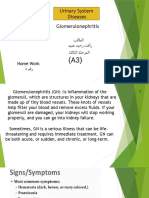 Urinary System Diseases Glomerulonephritis 1