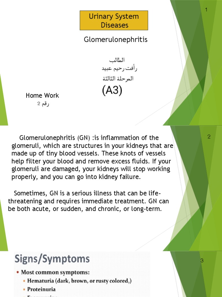 Urinary System Diseases Glomerulonephritis 1 | PDF