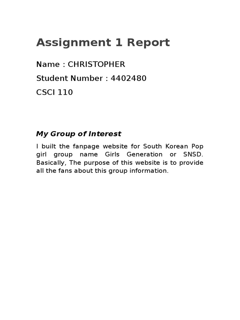 SNSD Fan Website Overview | PDF