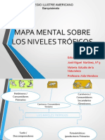 Mapa Mental Sobre Niveles Troficos