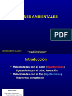 Adm. Lesiones Ambientales