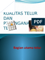 Penanganan Telur