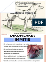 Dirofilaria Immitis