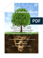 Valores y Medio Ambiente