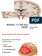 Meninges Dan Vasa Cerebri PDF