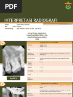 Interpretasi Hasil Rontgen Anatomi Normal | PDF