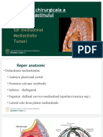 C 4. MEDIASTIN