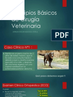 Principios Básicos de Cirugía Veterinaria.pdf
