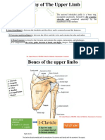 1-Bones of The Upper Limbs