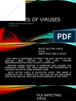 Types of Viruses Explained