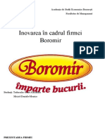 BOROMIR.docx