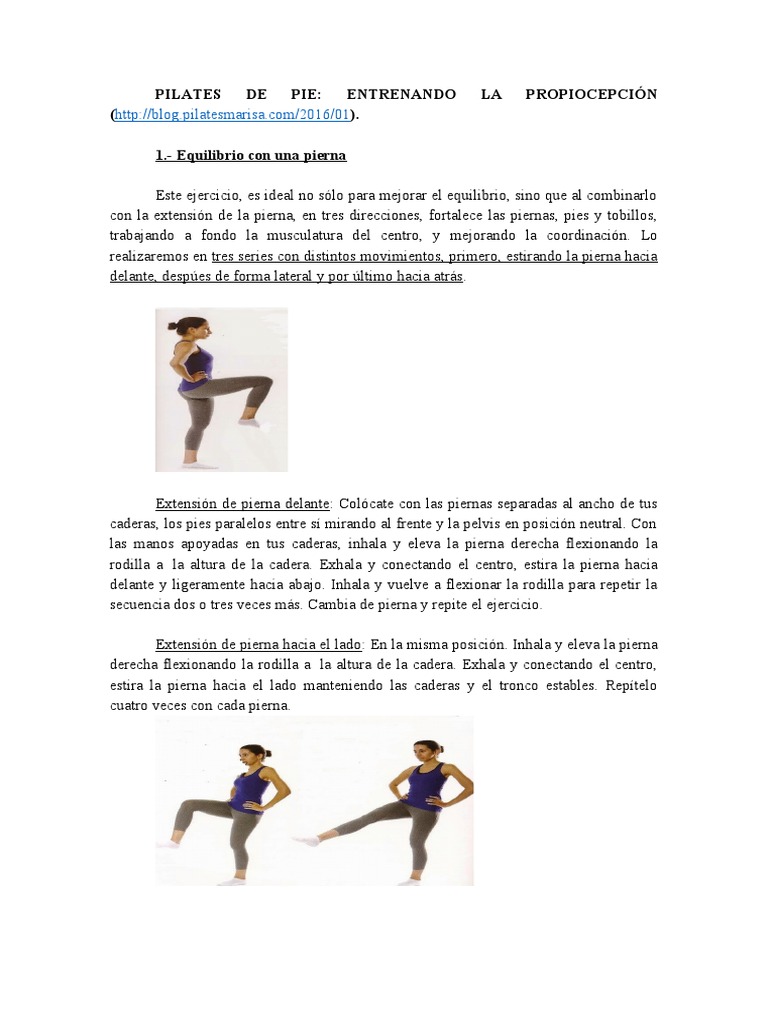 Propiocepción | PDF | Rodilla | Anatomía del miembro inferior