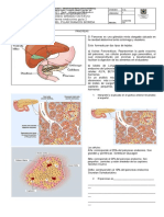 Guia 2 Endocrino PÁNCREAS