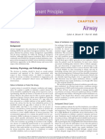 Airway PDF