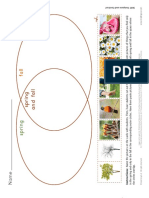 Spring and Fall - Worksheet