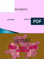 Bacteriile