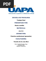 Trabajo Final de Pasantia 1