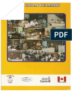 PDC Limpio PDF
