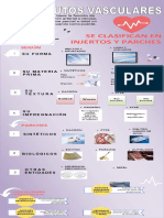 Sustitutos Vasculares