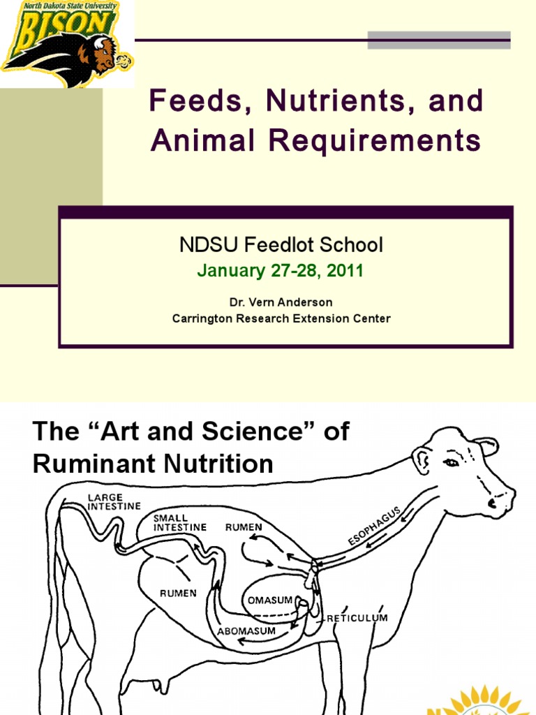 Feeds, Nutrients, and Animal Requirements NDSU Feedlot School PDF