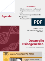 Desarrollo Psicogenetico PDF