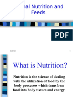 2._animal_nutrition