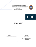 Ensayo (Din) PDF