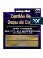 Jorge Sánchez - Gestión de base de datos.pdf
