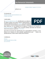 6 Carta de Renuncia Voluntaria