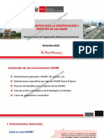 Lineamientos_IOARR.pdf