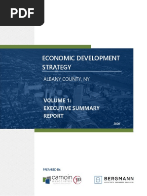 Executive Summary