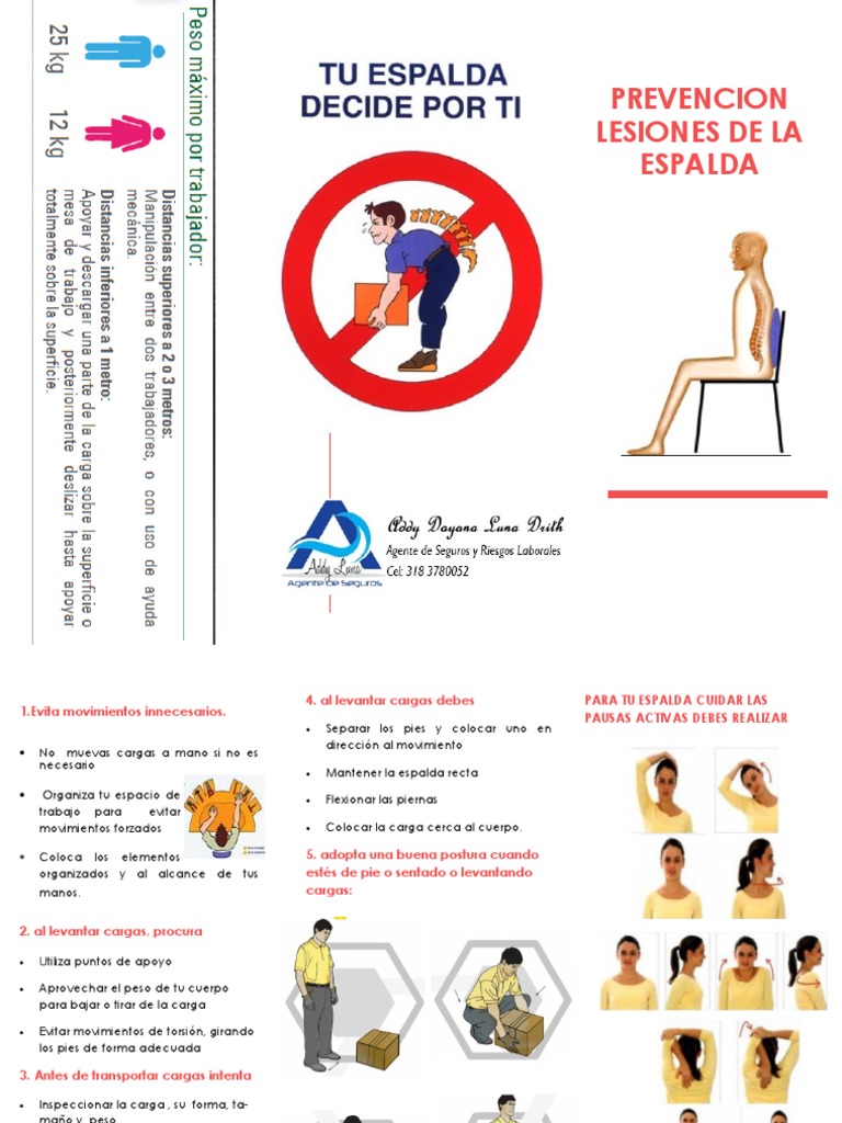 Folleto Cuidado de La Espalda PDF | PDF