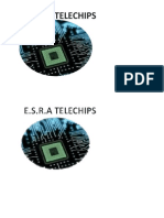 E.S.R.A Telechips