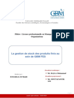 Rapport GBM