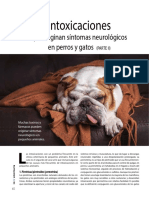 Intoxicaciones en Perros y Gatos PDF