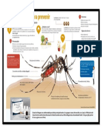 INFOGRAFIA Dengue