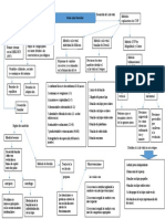 Desarrollo Del Ciclo Vital