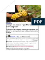 Vinagre Nas Plantas Veja 10 Formas !